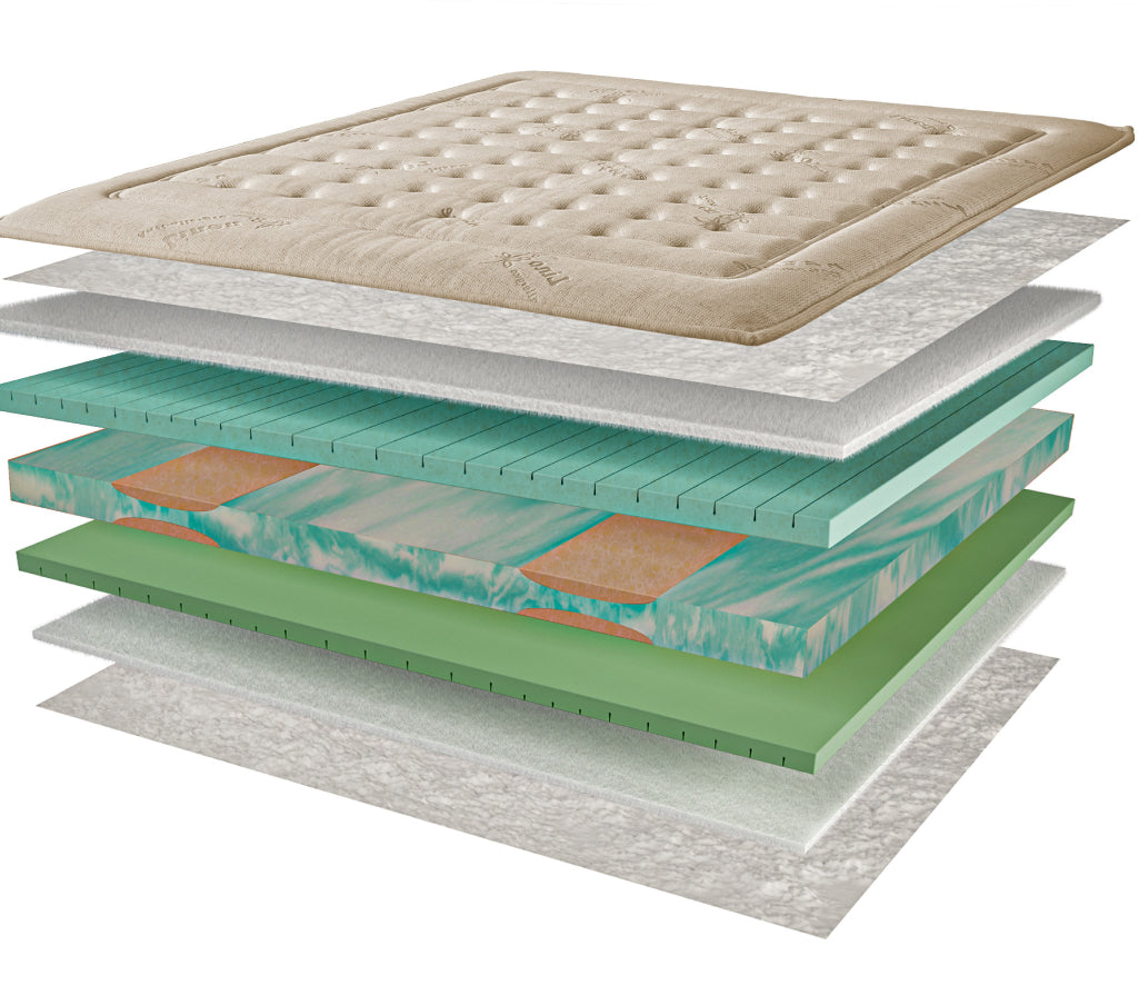 Green Bio Mind 6.0 – San Lorenzo Home